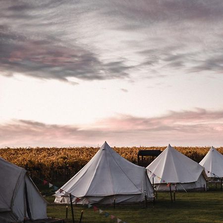 Coonawarra Bush Holiday Park Ngoại thất bức ảnh