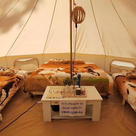 Coonawarra Bush Holiday Park Ngoại thất bức ảnh